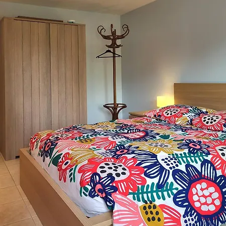 Maison De Famille Avec Jardin Clos Et Terrasse Proche De La - Fr-1-788-31 *